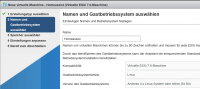  2. Gastbetriebssystemtyp